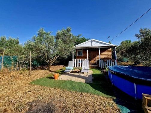 Un Chalet Dans Les Oliviers 3 Nuits Mini Nîmes Buitenkant foto